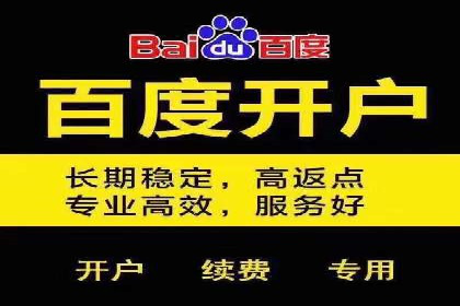 案例分析：竞价推广实战中的困境与突破